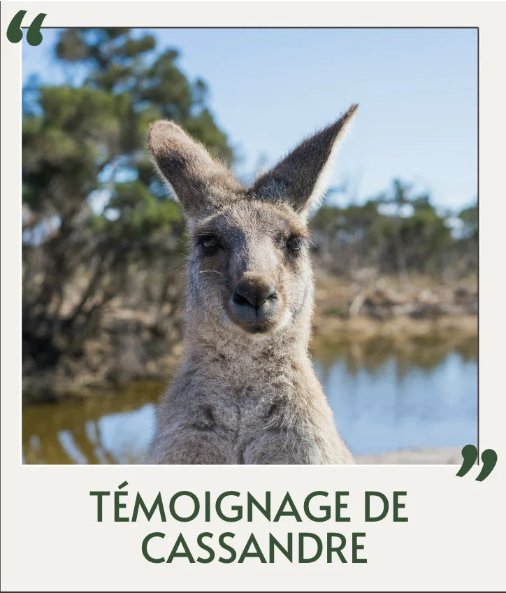 année de césure en australie